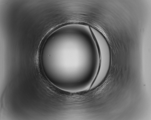 X0000093160387200710171214