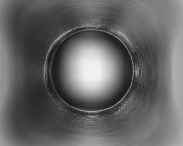 X0000093160388200710171214