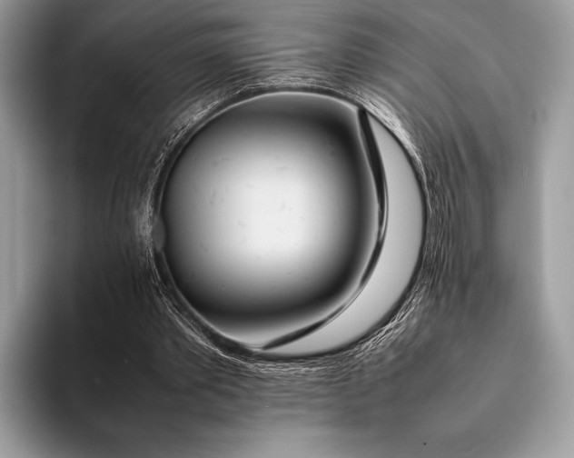 X0000093160389200710171213