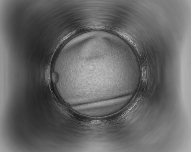 X0000093160390200710171213