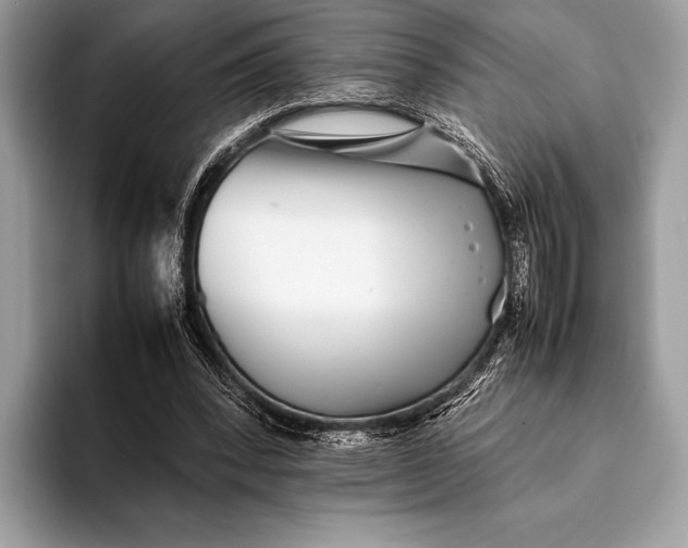 X0000093160392200710171213