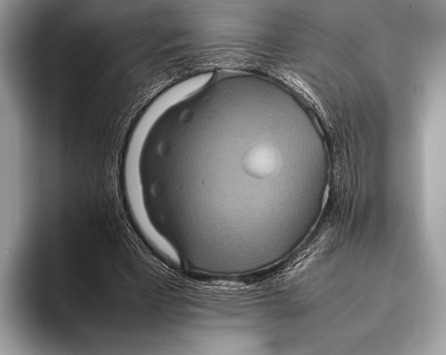 X0000093160393200710171213