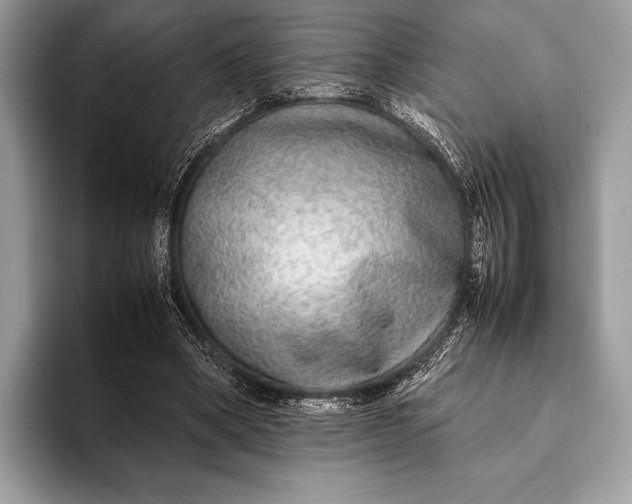X0000093160394200710171213