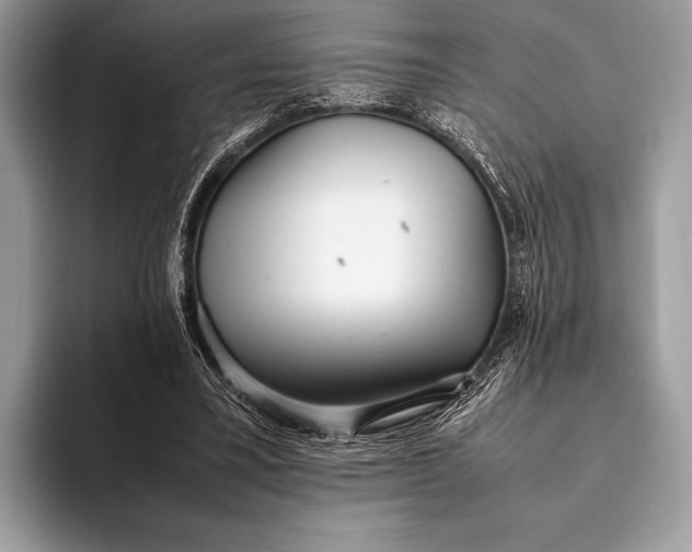 X0000093160395200710171213