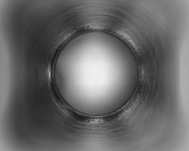 X0000093160398200710171213