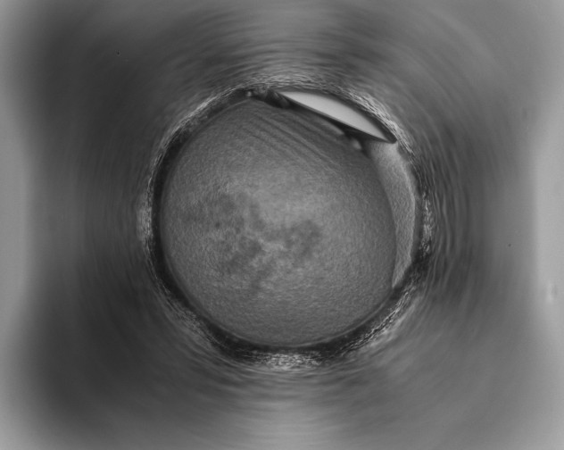 X0000093160399200710171213