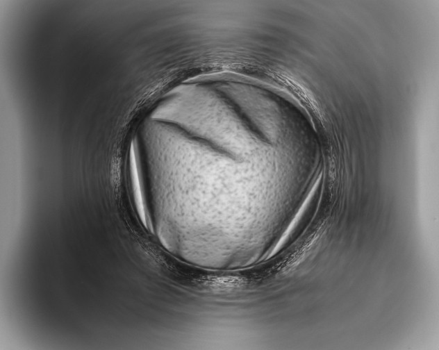 X0000093160401200710171213