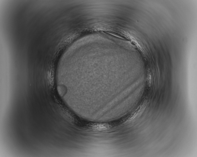 X0000093160402200710171213