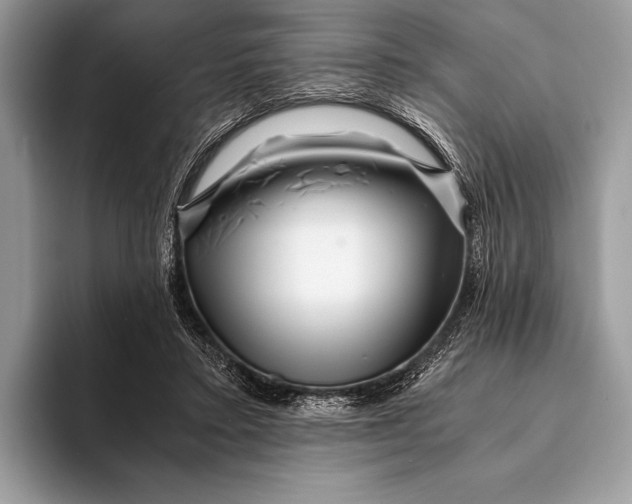 X0000093160403200710171213