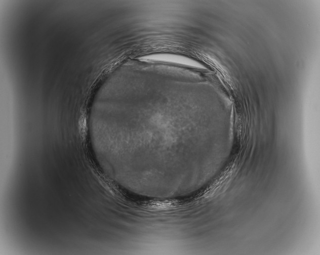 X0000093160405200710171213