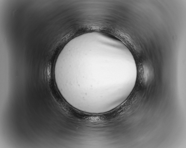 X0000093160406200710171213