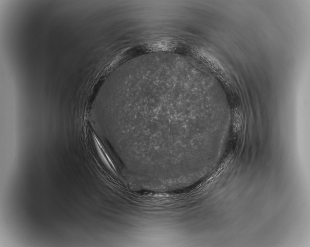 X0000093160409200710171213