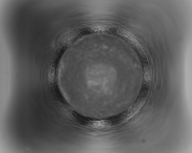 X0000093160411200710171213