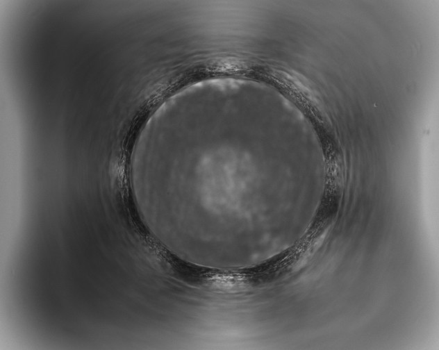 X0000093160415200710171213