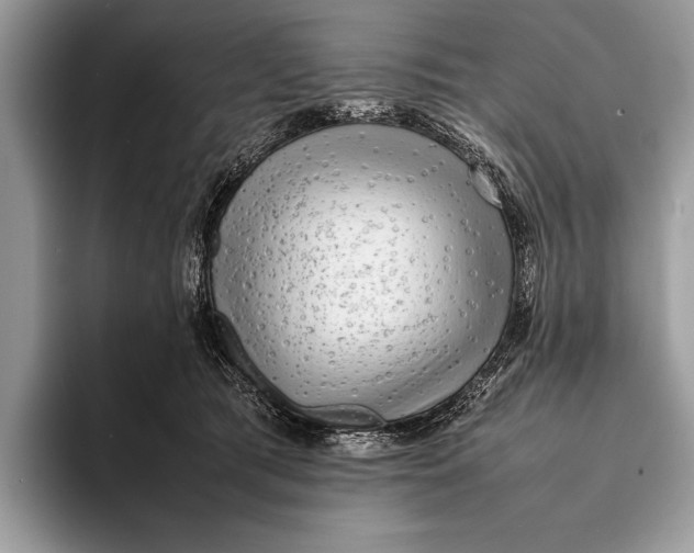 X0000093160417200710171213