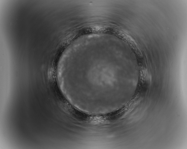 X0000093160419200710171213