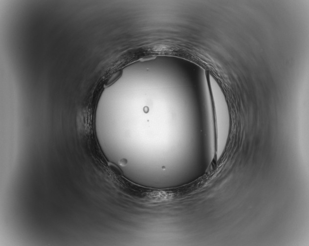 X0000093160421200710171213