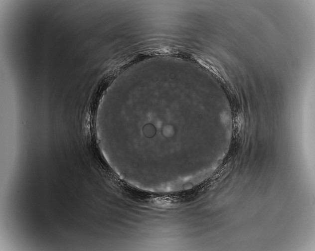 X0000093160423200710171213