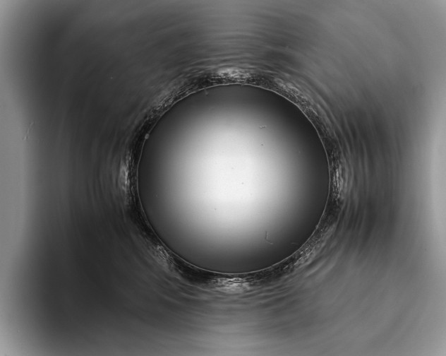 X0000093160424200710171213