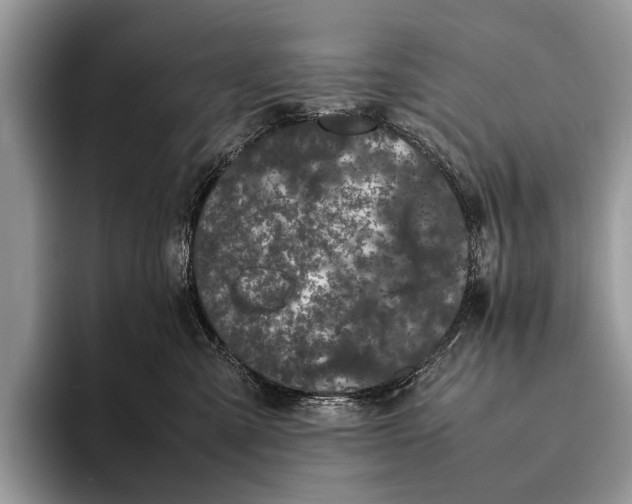 X0000093160427200710171213