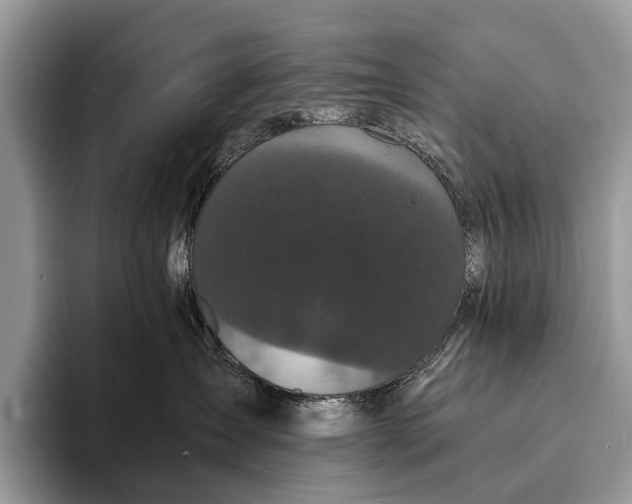 X0000093160431200710171213