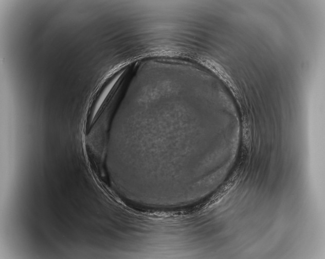 X0000093160434200710171212