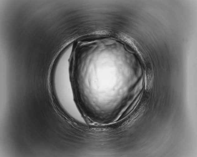 X0000093160435200710171212