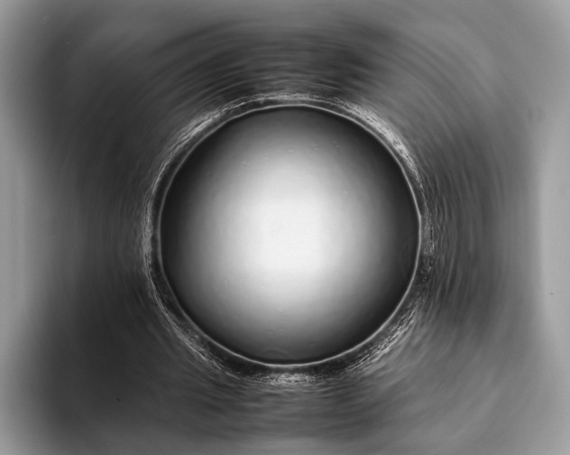 X0000093160437200710171212