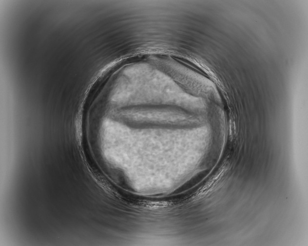 X0000093160438200710171212