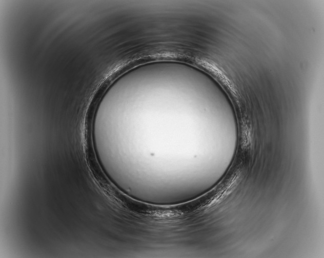 X0000093160439200710171212