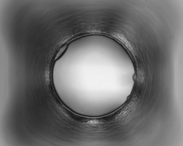 X0000093160441200710171212