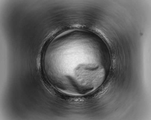 X0000093160443200710171212