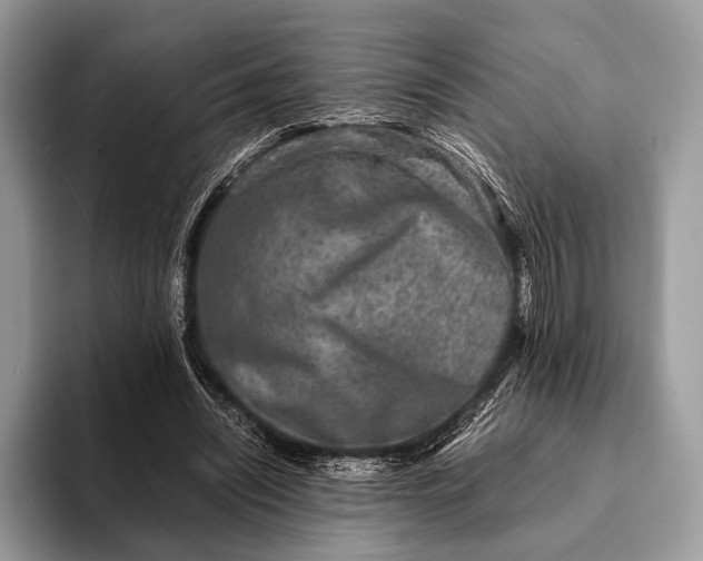 X0000093160444200710171212