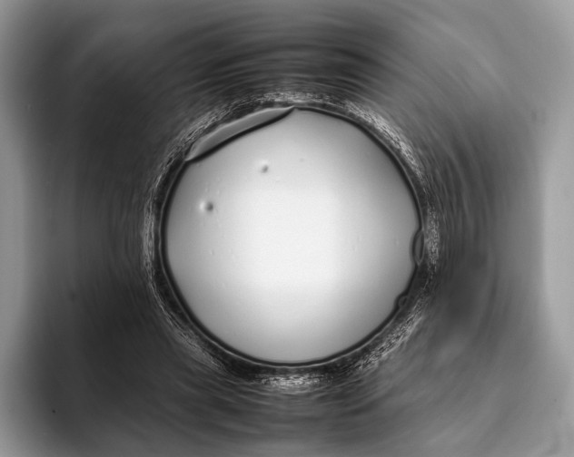 X0000093160445200710171212