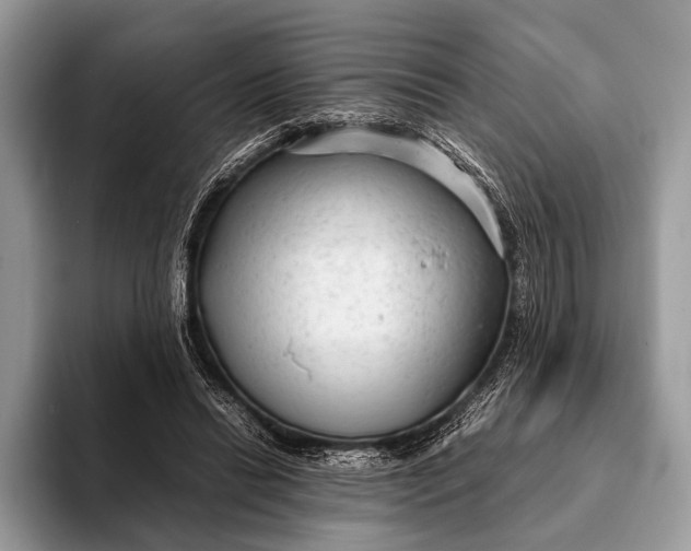 X0000093160446200710171212