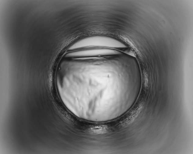 X0000093160447200710171212