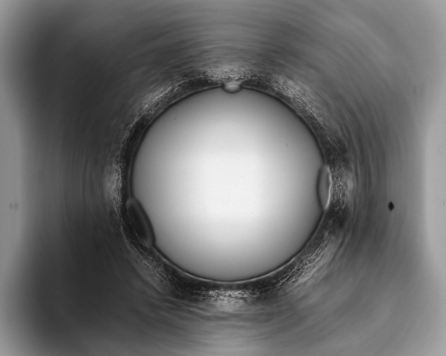 X0000093160448200710171212