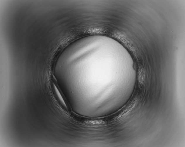 X0000093160449200710171212