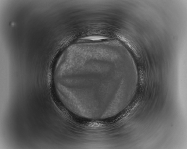 X0000093160451200710171212