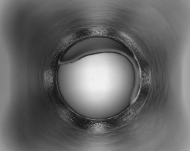 X0000093160456200710171213