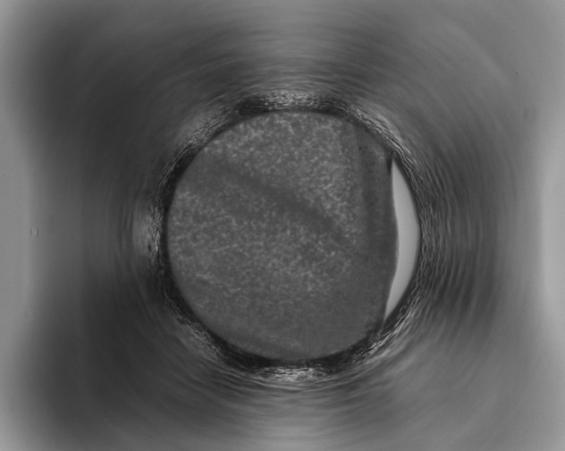 X0000093160458200710171213