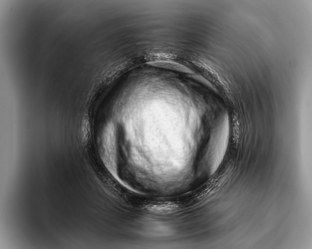 X0000093160459200710171213