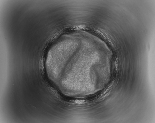 X0000093160462200710171213