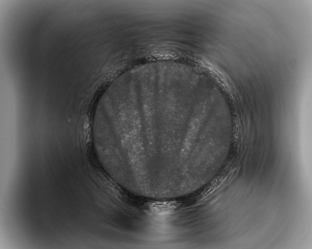 X0000093160465200710171213