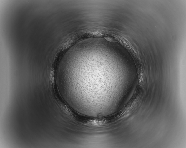 X0000093160466200710171213