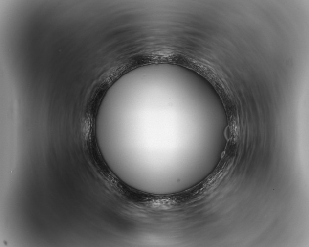 X0000093160468200710171213