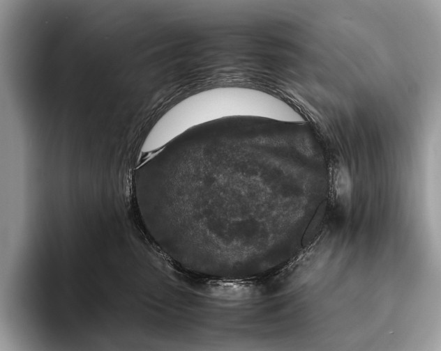 X0000093160475200710171213