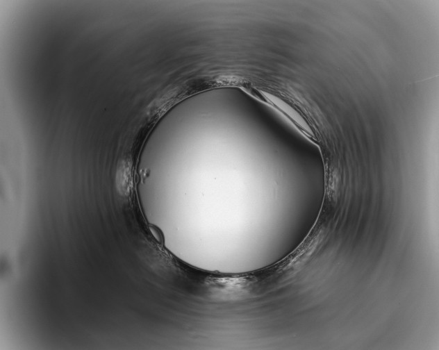 X0000093160478200710171213