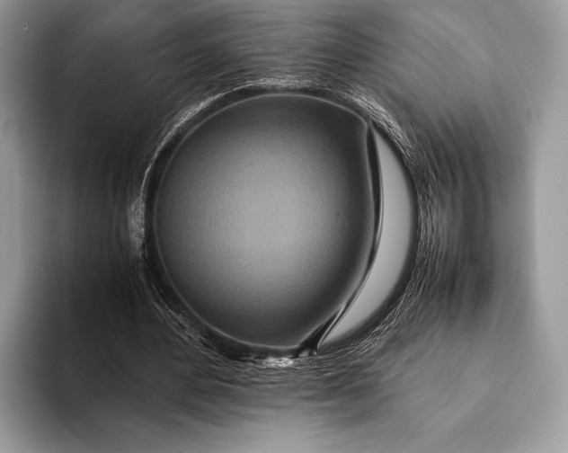 X0000093160484200710171212