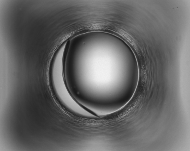 X0000093160485200710171212
